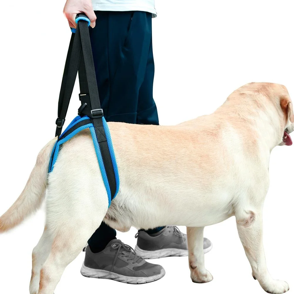 

Adjustable Dog Lift Harness for Back Legs Adjustable Pet Support Sling Help Weak Legs Stand Up Pet Leash Aid Assist Tool