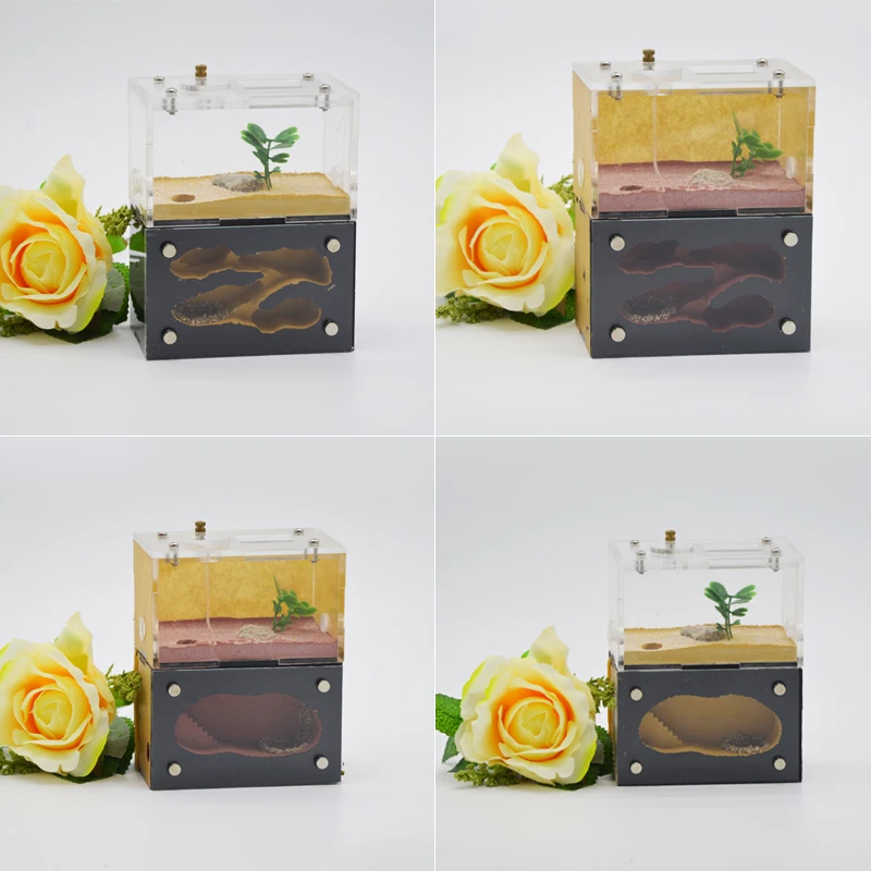 Двухслойное бетонное Муравьиное гнездо для домашних животных муравьиный замок