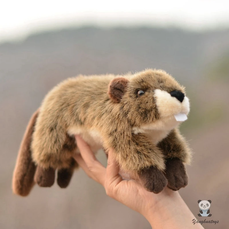 

Soft Stuffed Animal Toy EurasianBeaver Dolls Real life Plush beaver kids Toys hiliday gifts high quality