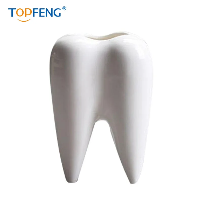 Topfeng инновационная белая керамическая форма зуба суккулентные растения