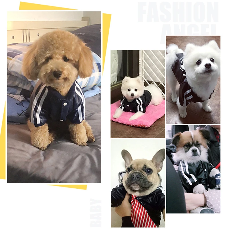 Кожаная одежда для собак Зимнее пальто водонепроницаемые куртки маленьких