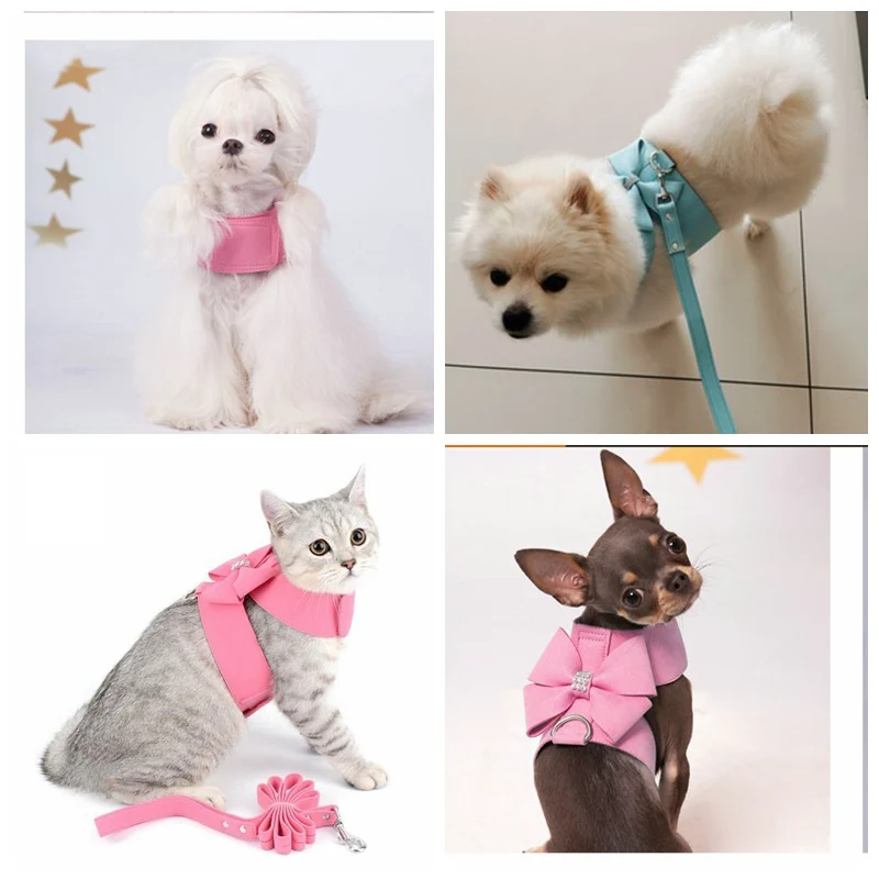 Роскошная повязка для маленьких собак со свинцовым набором вечерние ринки