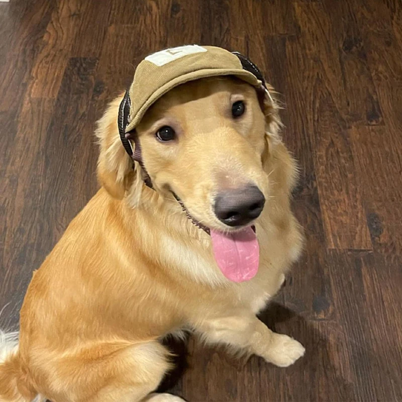 

Женское теплое ветрозащитное милое платье, головной убор, аксессуары для косплея, аксессуары для кошек и собак LB88