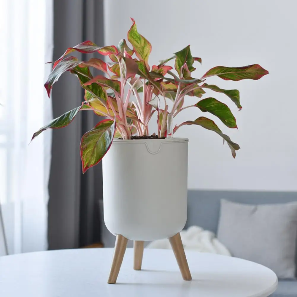 

Plastic Attractive Modern Style Automatic Flower Planter Long Lasting Planter Pot Easy to Install for Home