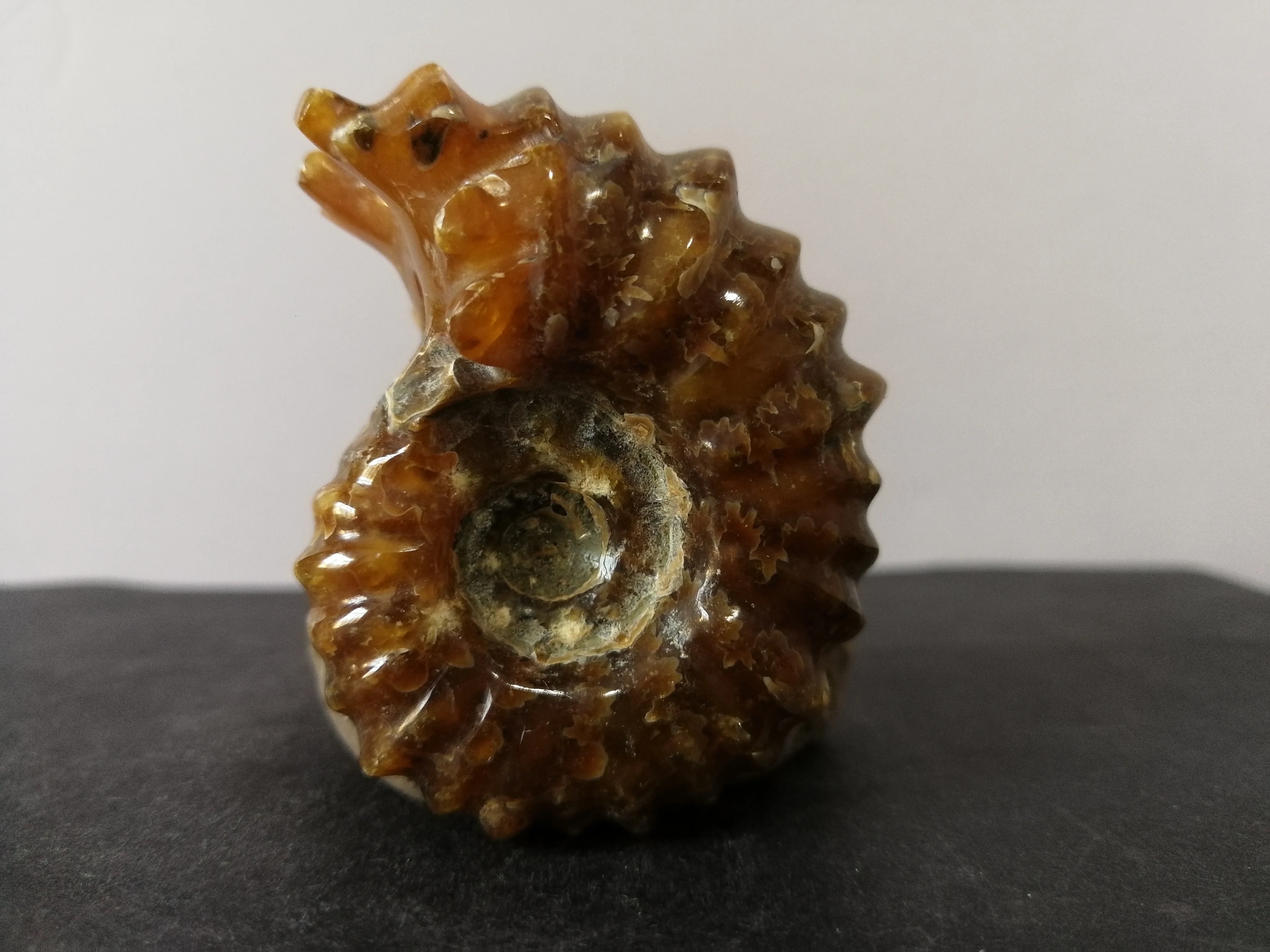 88.6gNatural ammonite crystal quartz specimen energy healing | Дом и сад