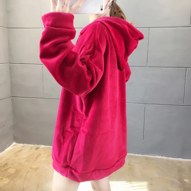 

#2566 Winter Pullover Hoodies Sweatshirts Womens Warm Thick Velvet Hoodies For Women Loose Korean Style Embroidery Letters