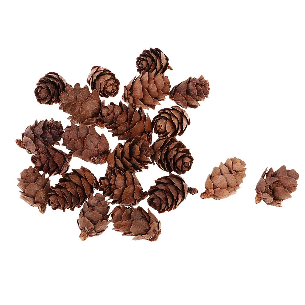 50x натуральные декоративные сосновые конусы Pinecone для Рождественского украшения