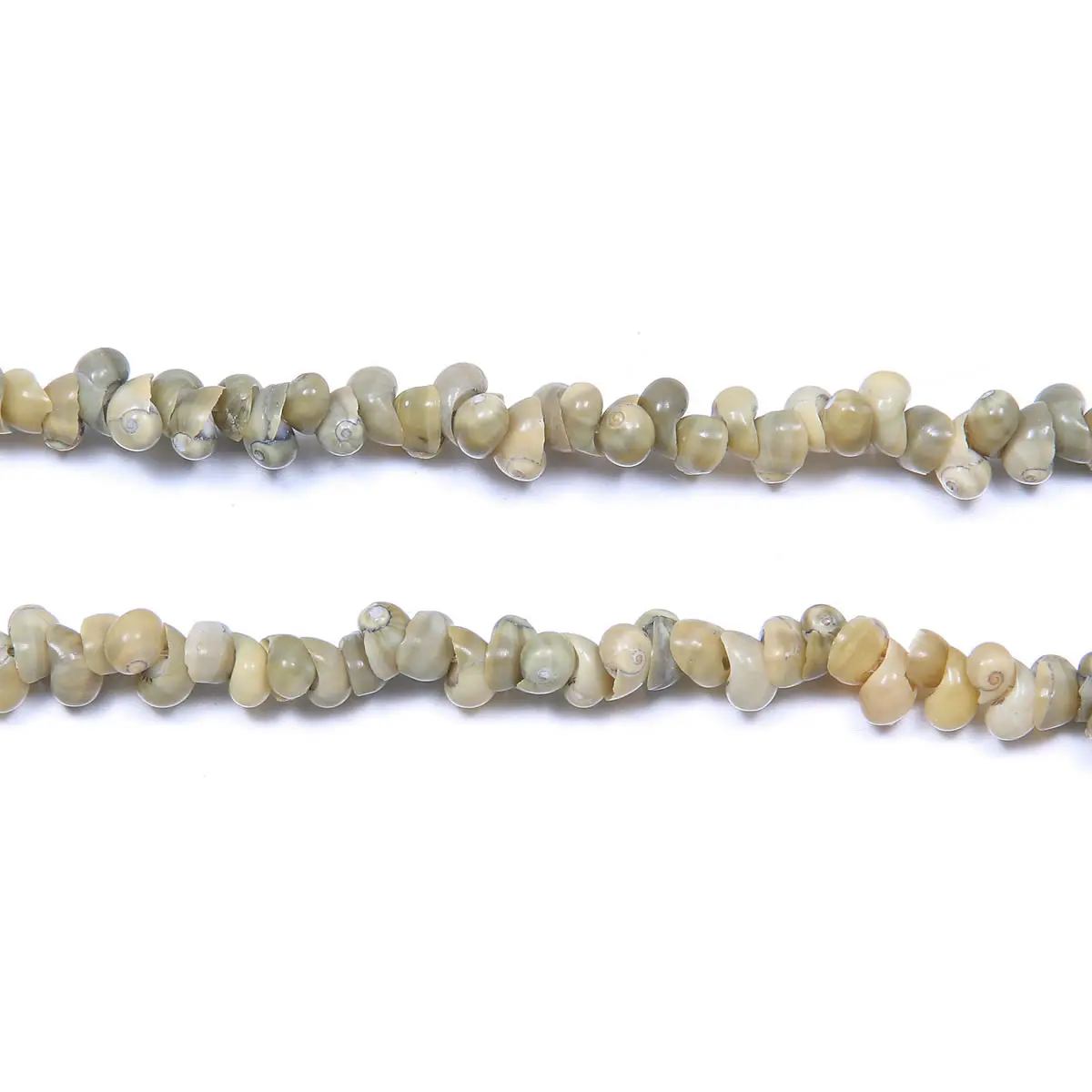 New Natural Shell Beads White Snail Shape Loose for Crafts Home Decor Jewelry Making DIY Necklace Accessories 300Pcs/lot | Украшения и