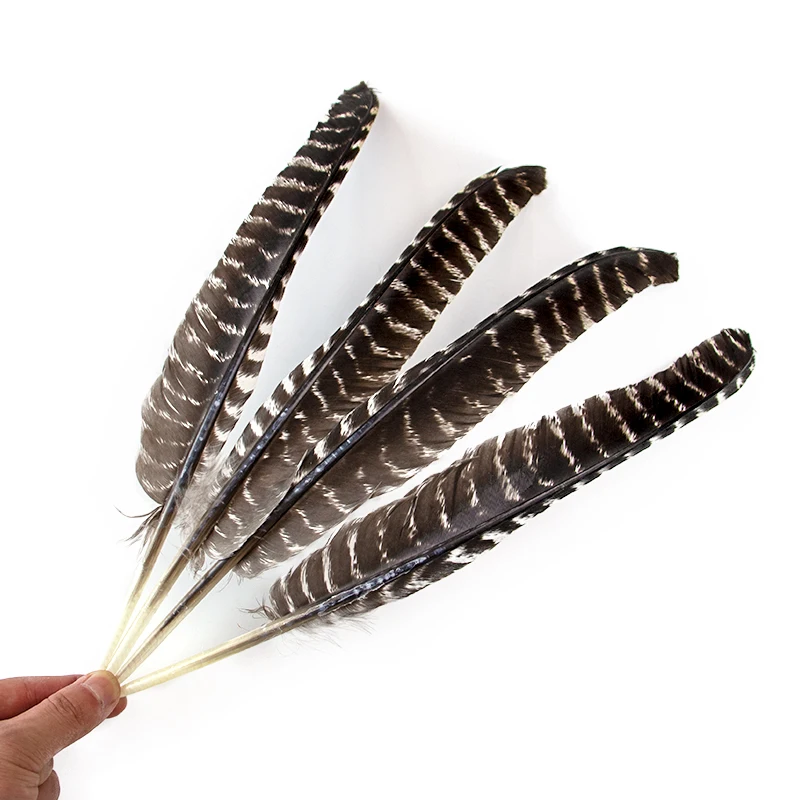 

New High Quality Real Natural pheasant feathers 30-35CM For crafts 10pcs Diy Wedding Hat Home Decoration plumes wholesale