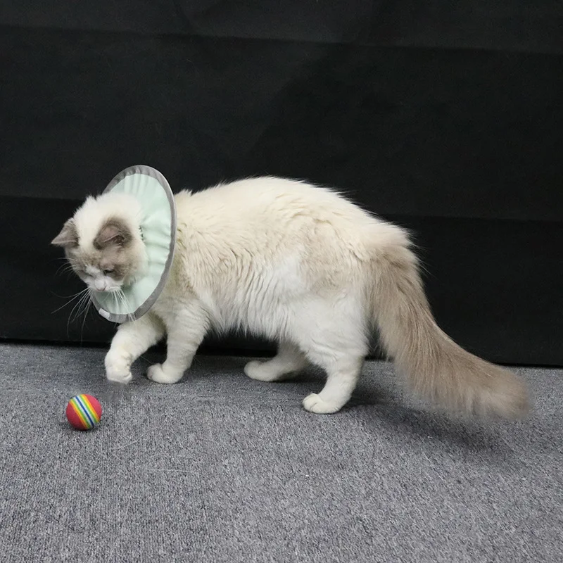 Ошейник для кошек Сверхлегкий Водонепроницаемый Конусный из нейлоновой ткани