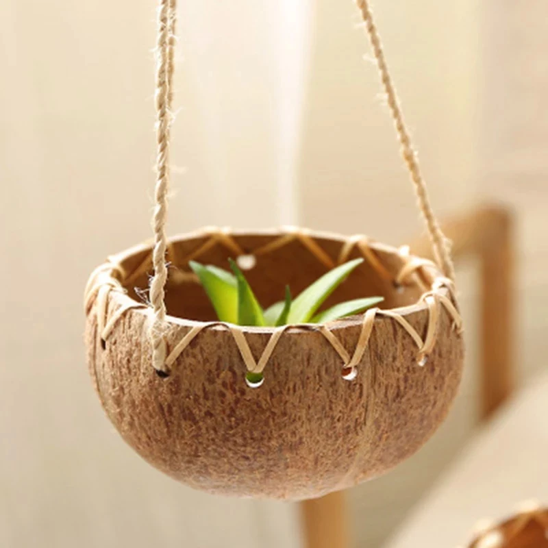

Coconut Shell Succulent Planter Pot Bonsai Flowerpot Planters for Succulents Hanging Pots for Hang Plant Pot