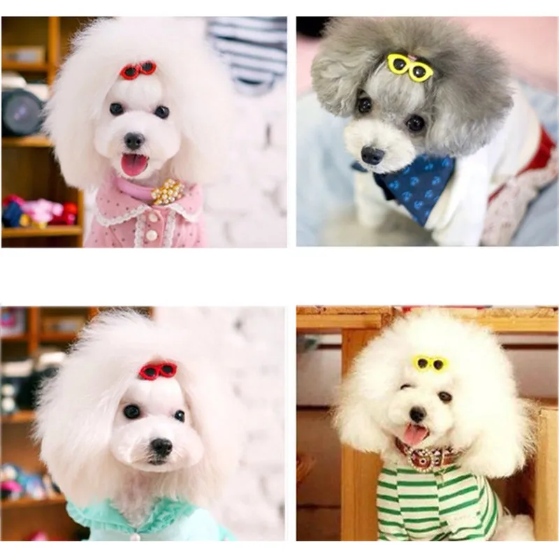 Aapet комплект из 3 предметов милый животных очки для домашних заколки котенок