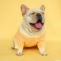 sunflower yellow sweater luxury dog clothes