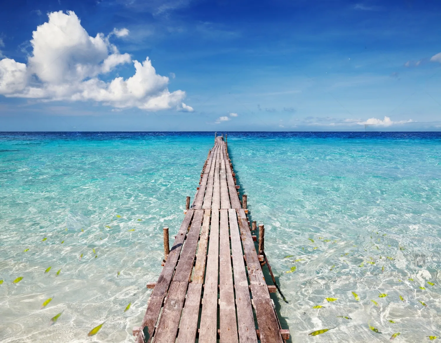 

JMINE Div 5D мост море океан небо полная Алмазная краска ing крестиком наборы искусство Высокое качество живописная 3D краска бриллиантами