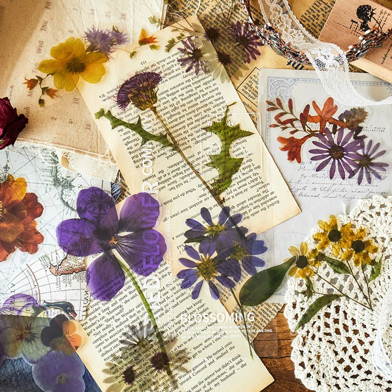 PET sticker Dry Flower Style Diary DIY Material Album Journey Decorative stickers