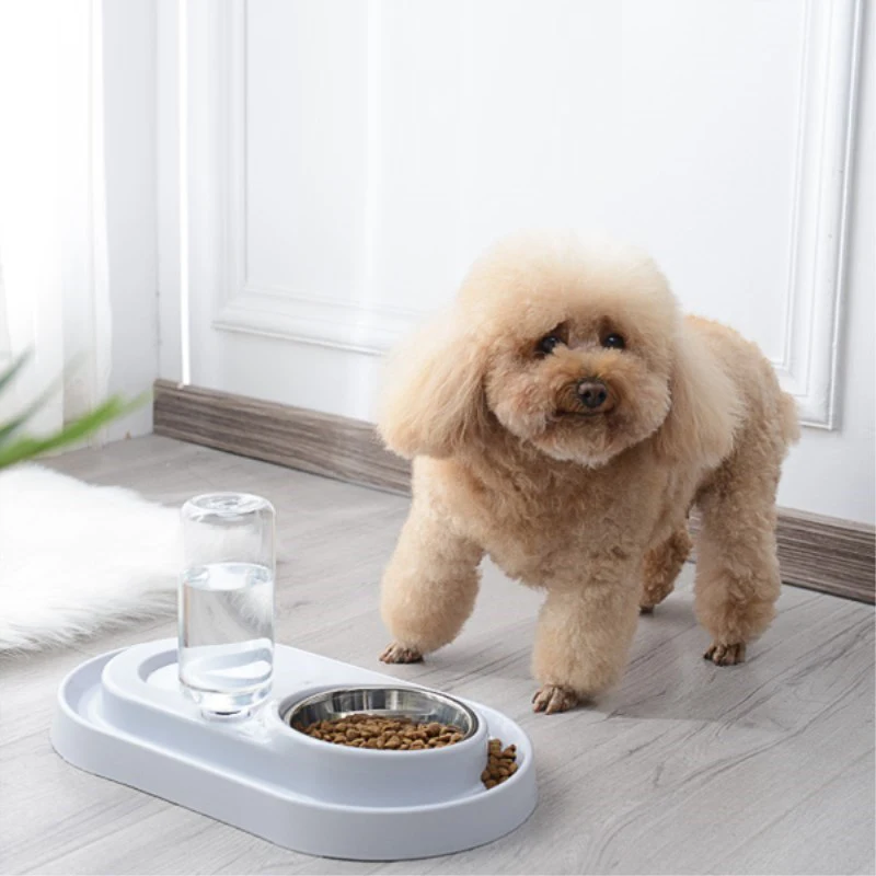 Кошка Собака Еда подачи воды чаша Котенок Pet чаши для поилка кошек и собак лучшие