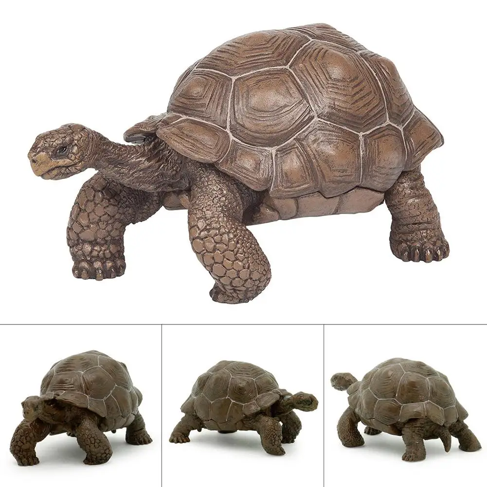 

3inch Galapagos Tortoise Turtle Model Figure Animal Toy Desktop Decoration Collectable Gift PVC Realistic Turtle Model