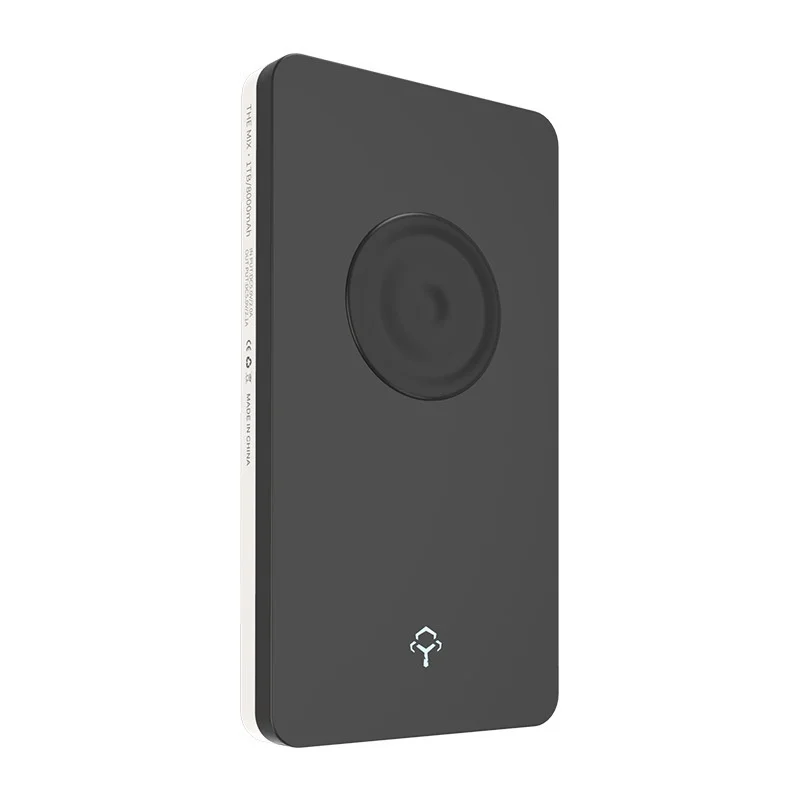 Xiaomi бренд power Bank 8000 мАч новая технология механический жесткий диск 500 Гб 1 ТБ 2 ТБ твердотельный накопитель 256 ГБ 512 ГБ 1 ТБ USB type-C