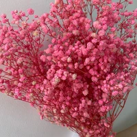 5 colors real touch flowers for wedding bridal bouquet natural dried babies breath flowers bouquets reed pampas grass