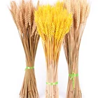 Чистые сушеные цветы из пшеницы, 50 или 100 шт.лот, декоративные цветы для свадебвечерние
