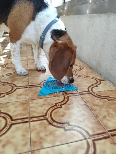 Коврик для ванны собак и щенков силиконовая чашка на присоске | Дом сад