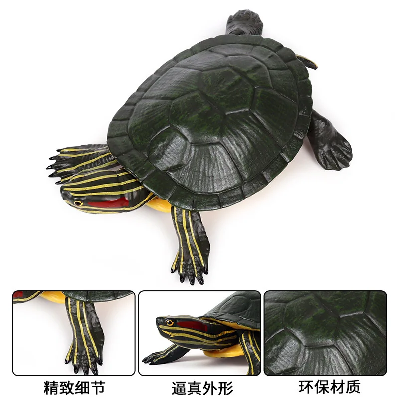 Brazil Turtle Animal Model Action Figure Simulation Sea Life Figures Collection PVC Toy Kids Gift | Игрушки и хобби