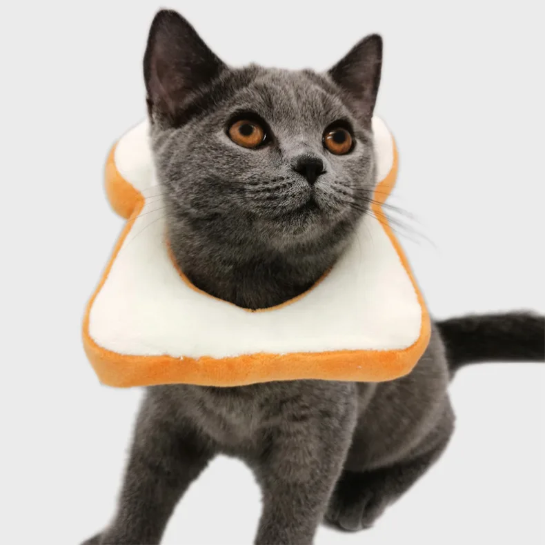 

Pet kitten toasted bread head scarf, white collar cute trick headdress