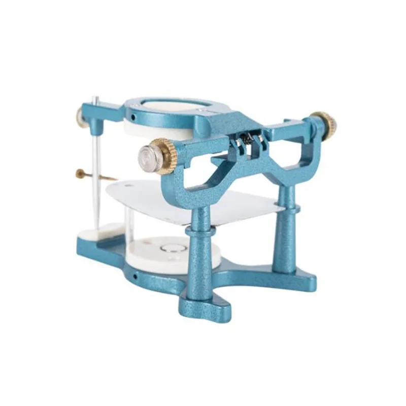 

Oral technician with magnet articulator