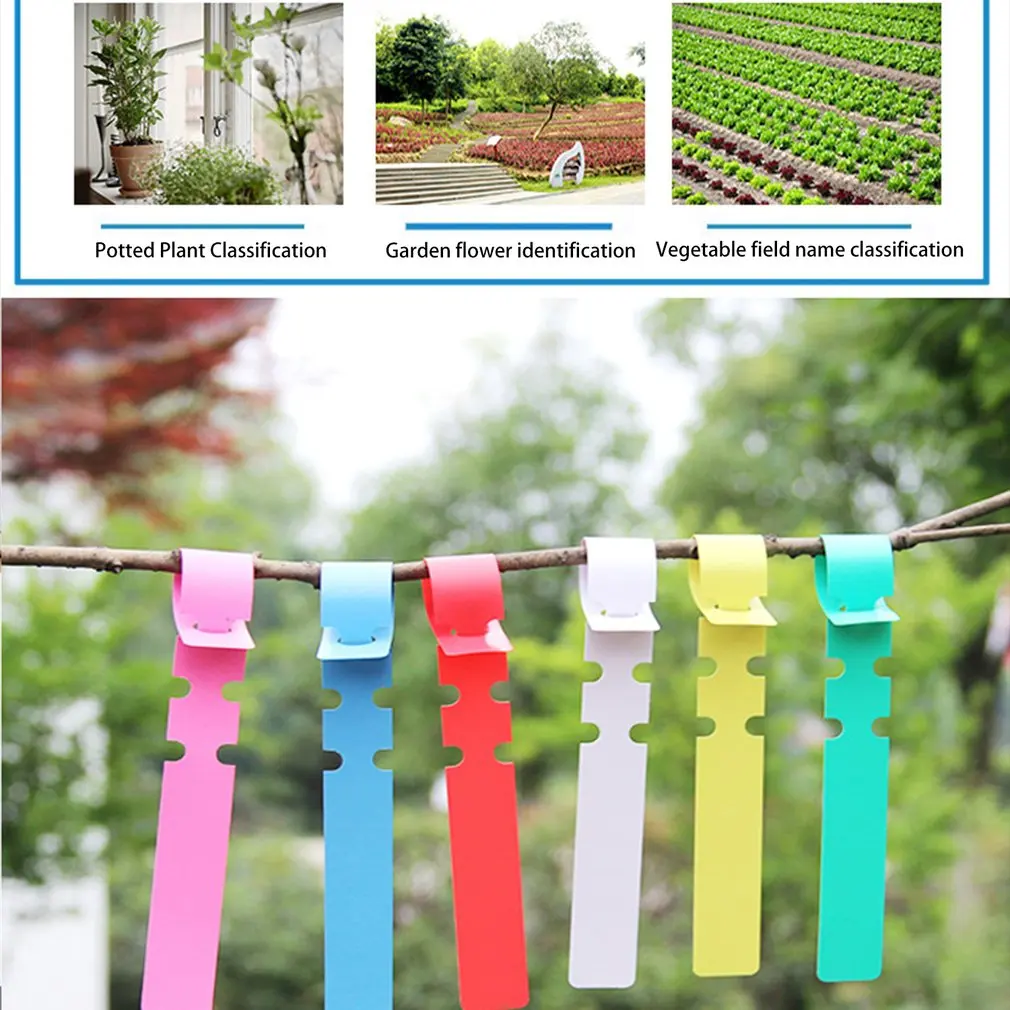 

Plastic Plant Tree Label Garden Label Wrap-around Hanging Label Seedling Label Practical Gardening Lable Set