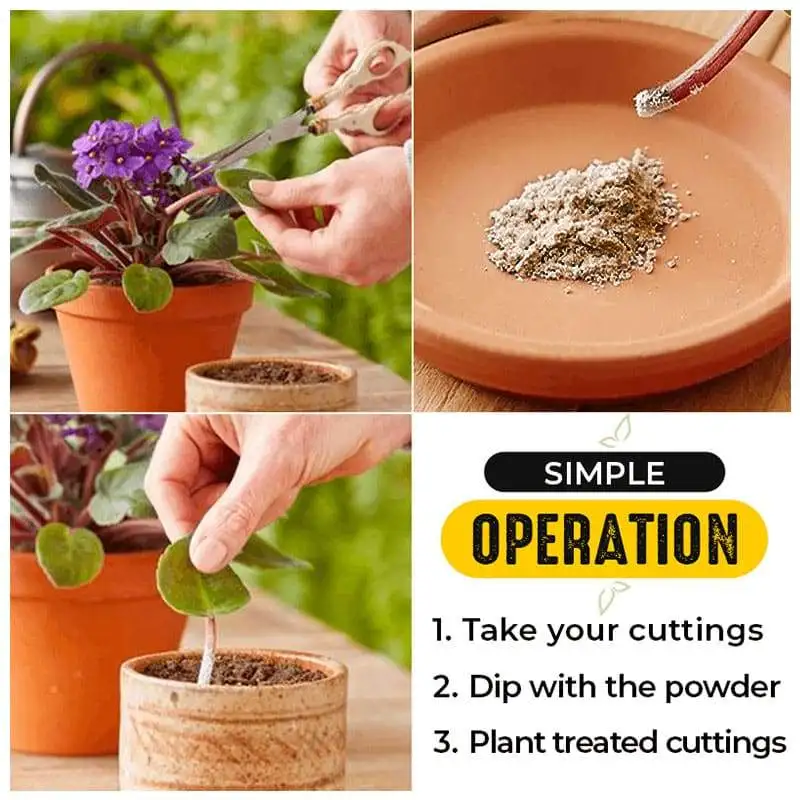 2PCS Rapid Rooting Powder Water Soluble Strong Growth Hormone Root Seed Germination Flowers Seeds Fertilizer For Plants | Дом и сад