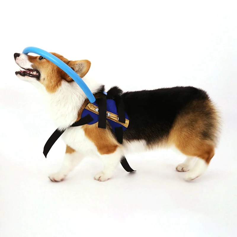 2020 кольцо против столкновений для слепых питомцев защитное защиты животных
