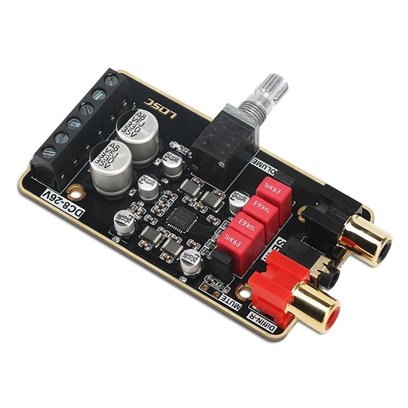 

LQSC PAM8620 D 15 x 15 V1.3 Diy