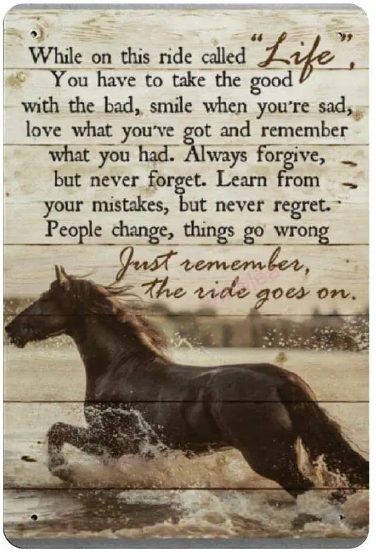 

While On This Ride Called Life Retro Metal Tin Sign Plaque Poster Wall Decor Art Shabby Chic Gift Suitable 12x8 Inch