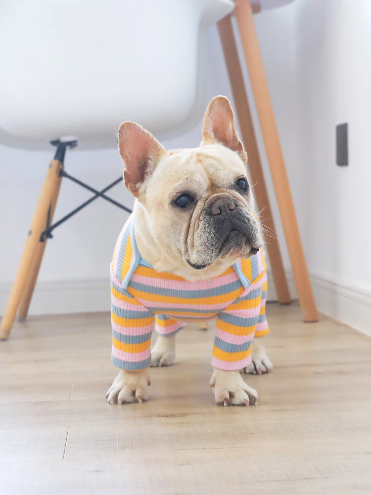 Нижнее пальто для домашних животных сезон осень зима цвет радуги в полоску
