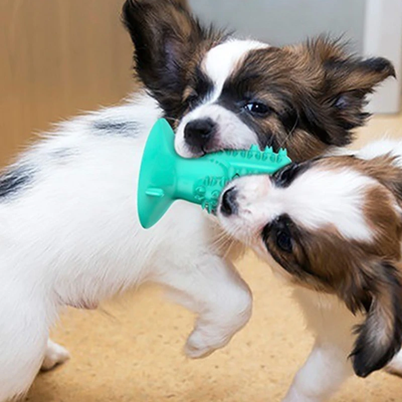 Зубная щетка для собак и питомцев | Дом сад