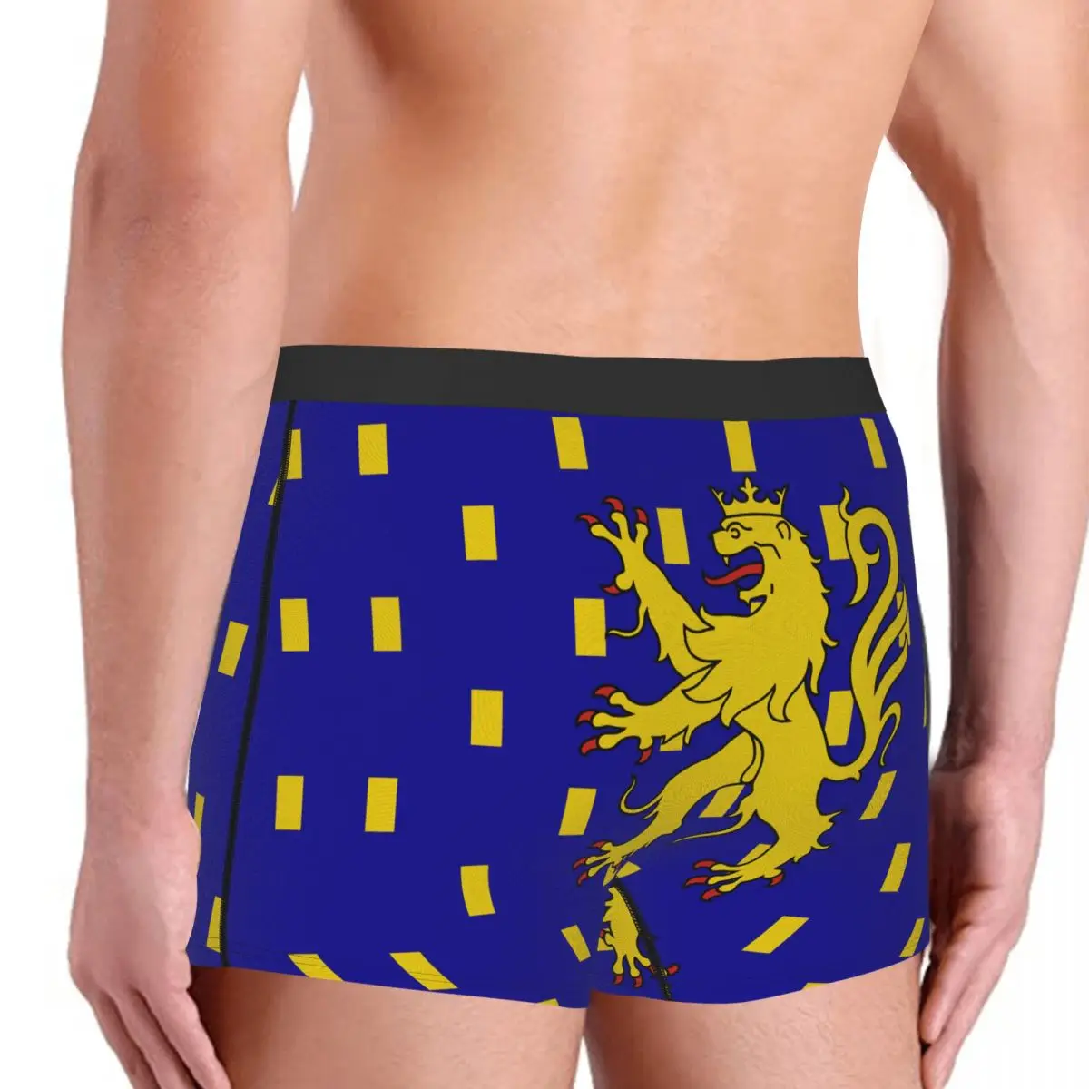 Flag Of Franche-Comté Men's Boxer Briefs Flags of the regions of France Funny Vintage Men's boxer leggings