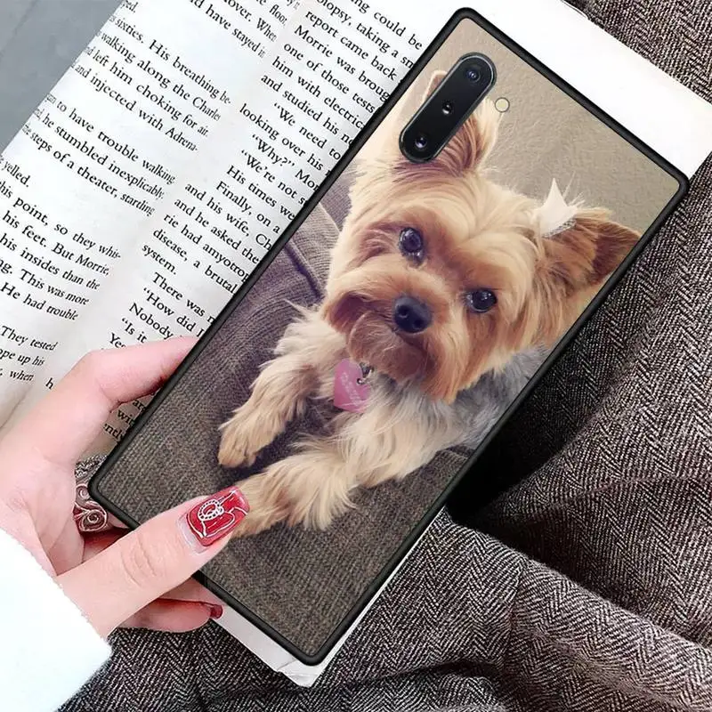 

Mini Yorkshire Terrier Dog Phone Cases For Samsung Galaxy S8 S9 S10 Plus S10E Note 3 4 5 6 7 8 9 10 Pro Lite cover