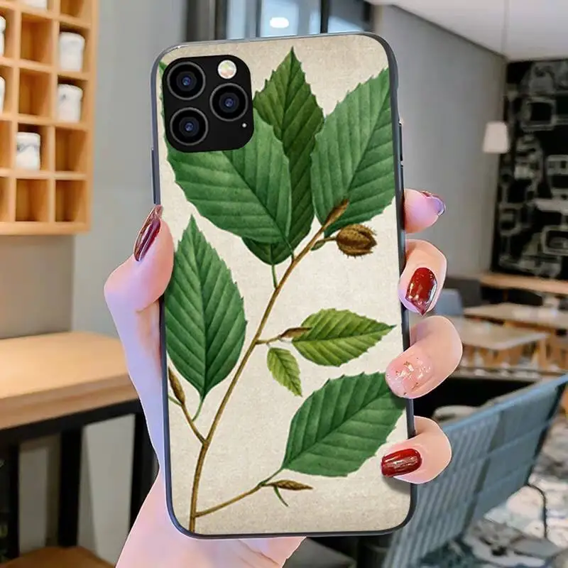 Чехол sun and moon cat для iPhone 11 12 Pro mini pro XS MAX 8 7 6 6S Plus X 5S SE 2020 XR | Мобильные телефоны и