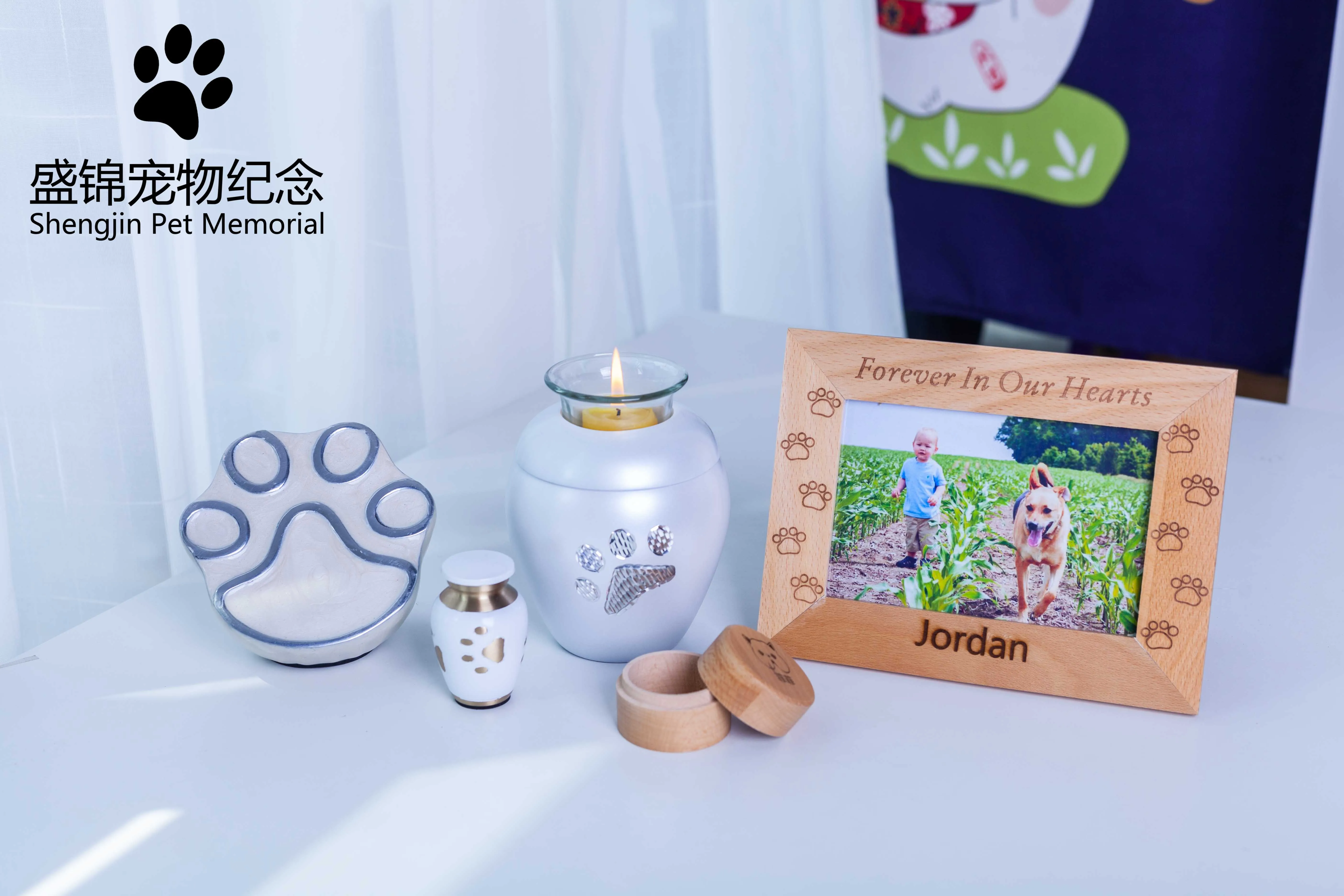 Питомец животное собака кошка keepsake памятные пепла урвает мой с кристаллом в форме сердца ожерелье для кремации ювелирные изделия