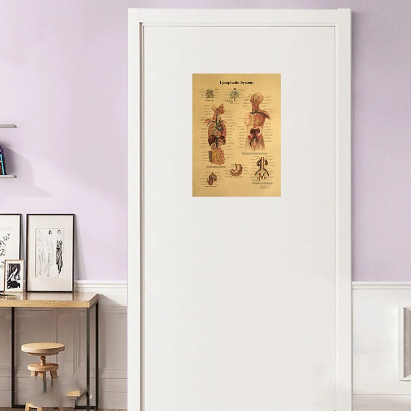 Иллюстрация человеческого тела лимфатическая система крафт-бумага Ретро плакат