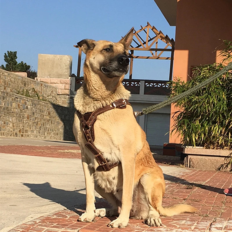 Новинка из натуральной кожи коричневого цвета Поводок для собак и поводок Чехлы