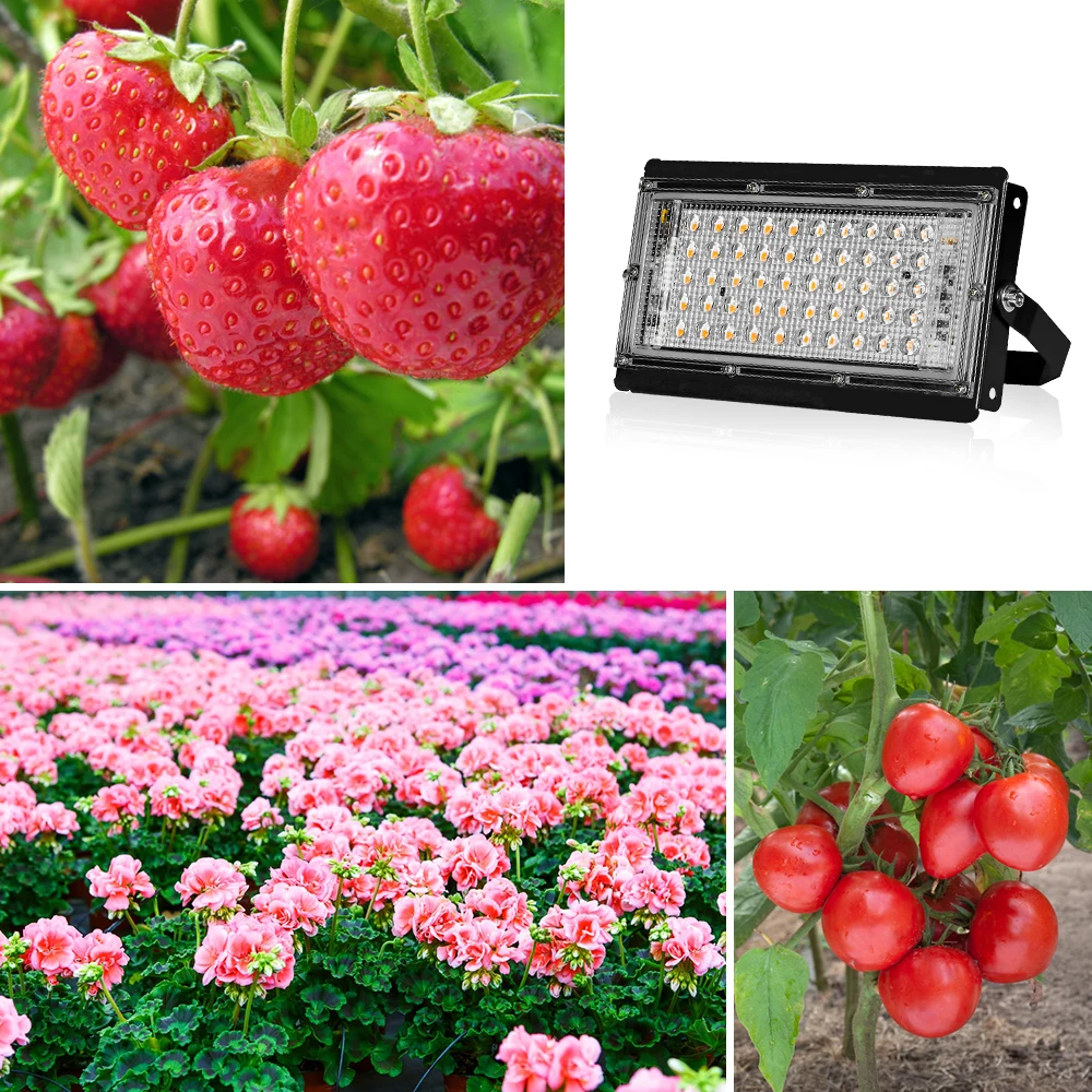 LED Grow Light 50W 100W 200W Phyto Lamp Full Spectrum Phytolamp Plant for Greenhouse Hydroponic Tent | Освещение