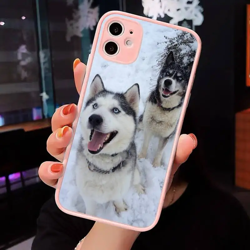 

Alaskan Malamute Siberian husky dog Phone Case For iPhone 12 11 Mini Pro XR XS Max 7 8 Plus X Matte transparent Pink Back Cover