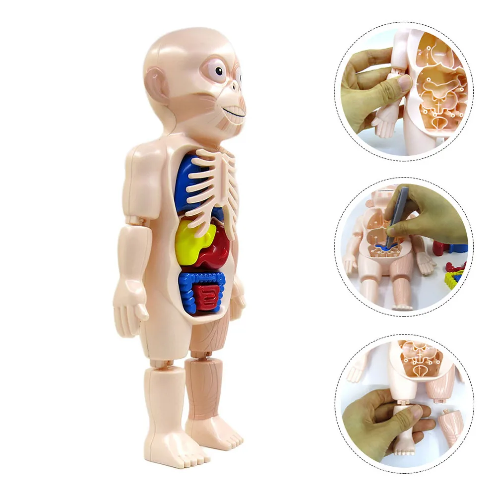 

1 Set of Educational DIY Gift Assembled Mold Assembled Model