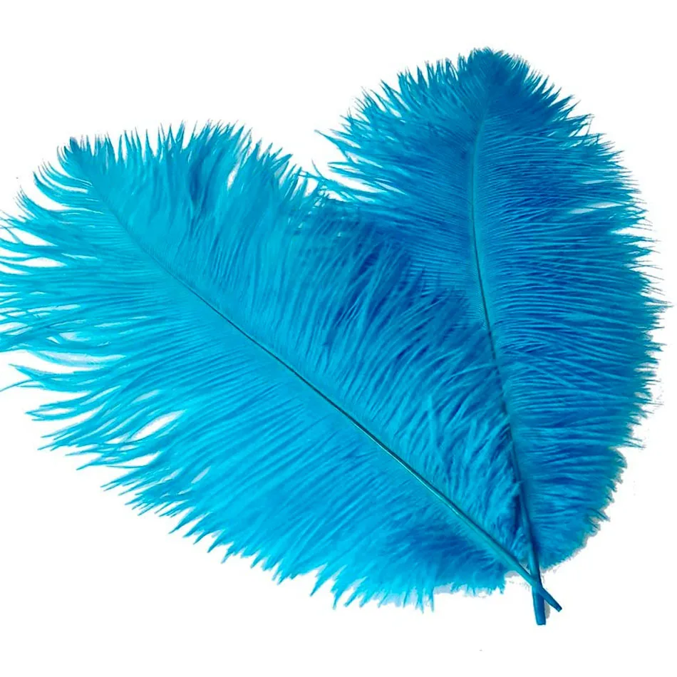 10 шт./лот 15 30 см натуральные белые страусиные перья для рукоделия цветные