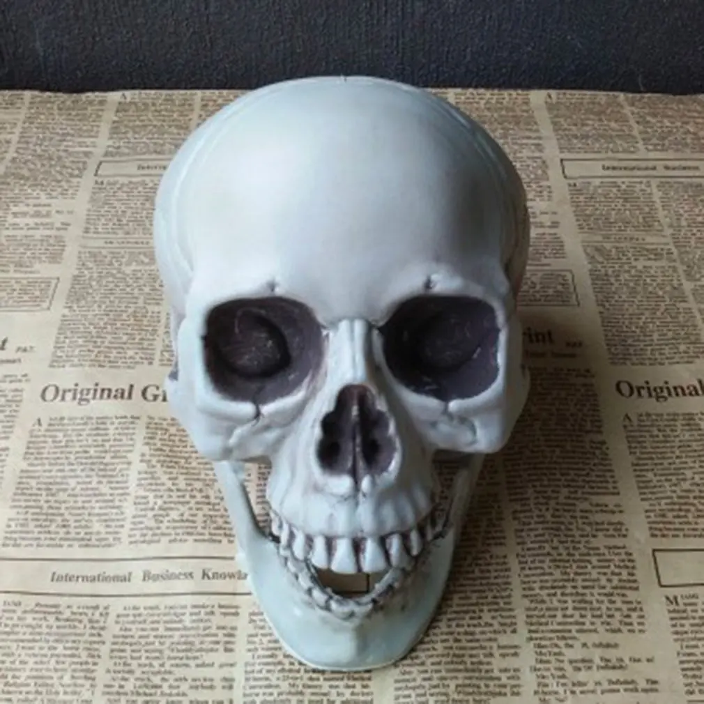 

Durable Halloween Haunted House Dress Up Plastic Skull Skeleton Ghost Tricky Props Bar Decoration Skull