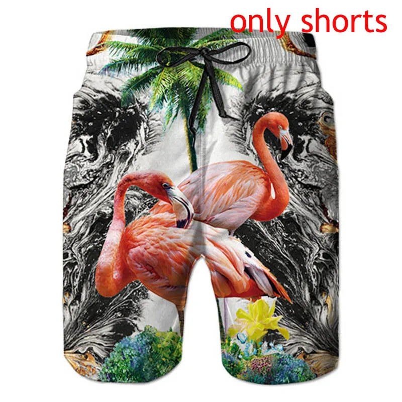 only shorts Мужской комплект из 2 предметов, Гавайские рубашки, шорты, ананас, 3d принт, мужские с коротким рукавом, гавайская рубашка, шорты, брюки, костюм из двух предметов - Цвет: only shorts