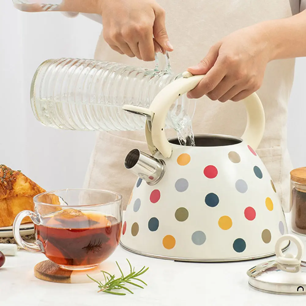 

1Pc Household Teakettle Kitchen Kettle Hotel Teapot Water Boil Kettle for Home