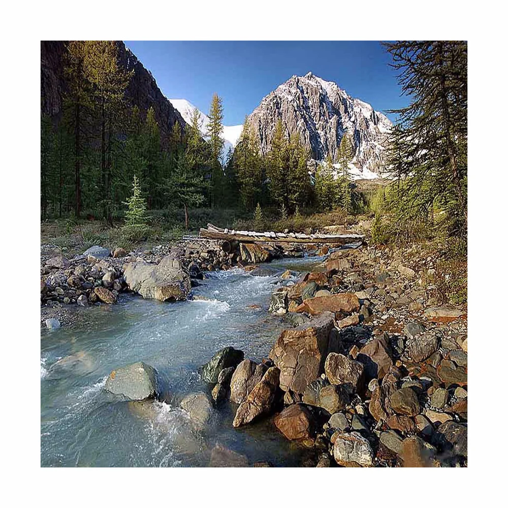 Алмазная 5D картина сделай сам река и деревья квадратная круглая стразы хобби