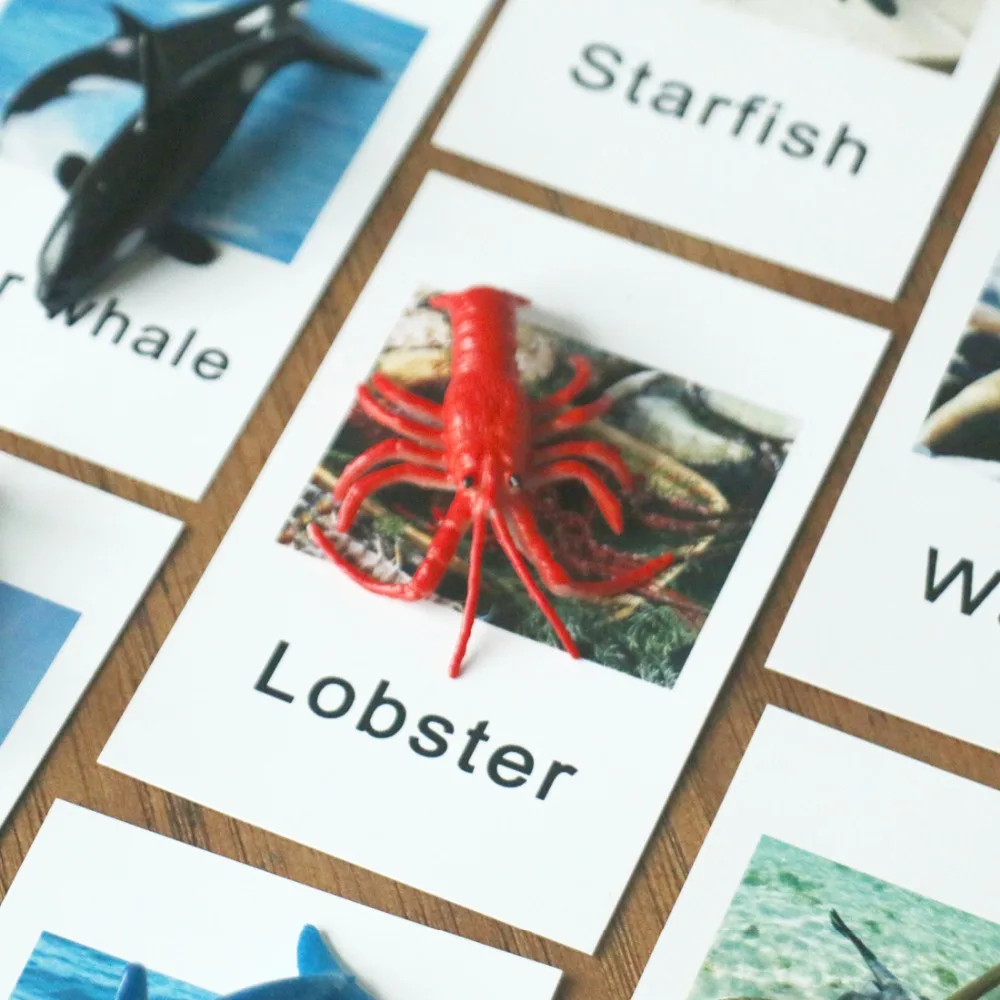 Набор языковых карт Монтессори предметов морские животные дошкольные слова
